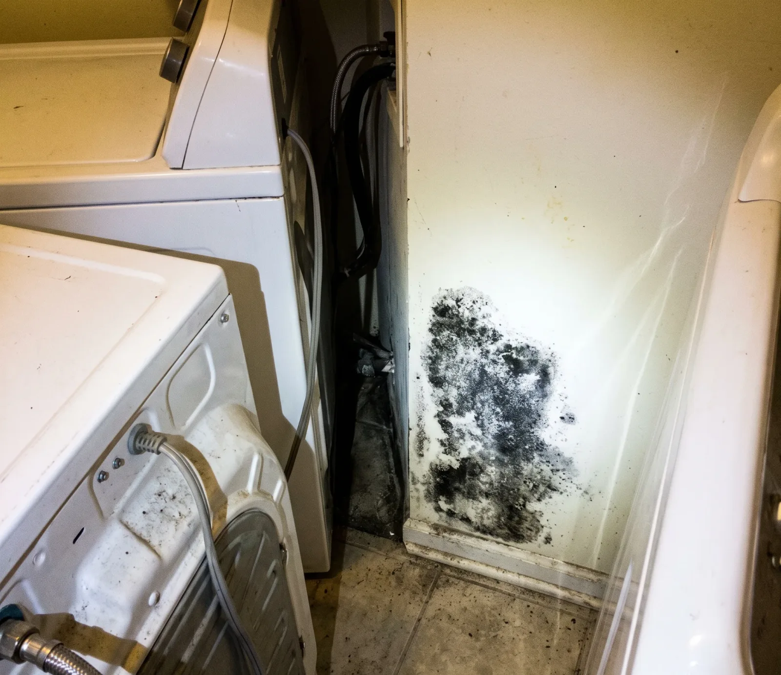 AC Condensate Line & Appliance Overflow Cleanup service in Tempe, AZ